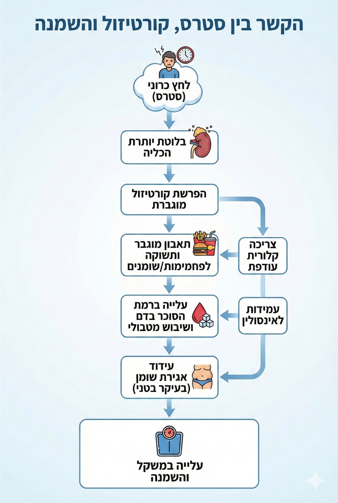 הקשר בין סטרס, קורטיזול והשמנה